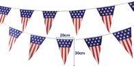 Indoor Triangle 20cmx30cm Decoration Flag Line
